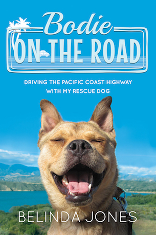 Bodie on the Road_ADV COVER_2.indd
