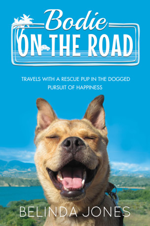 cover of the dog travel memoir bodie on the road