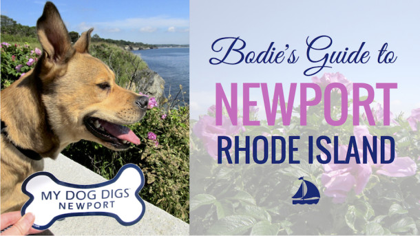 Dog-Friendly-Newport-Rhode-Island-Bodie-On-The-Road