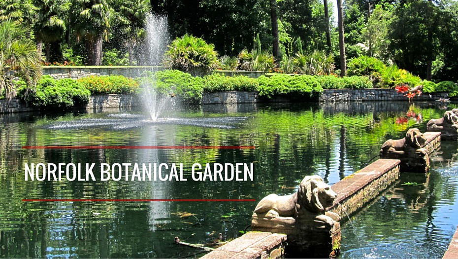 Norfolk-Botanical-Garden-Dog-Friendly-Bodie