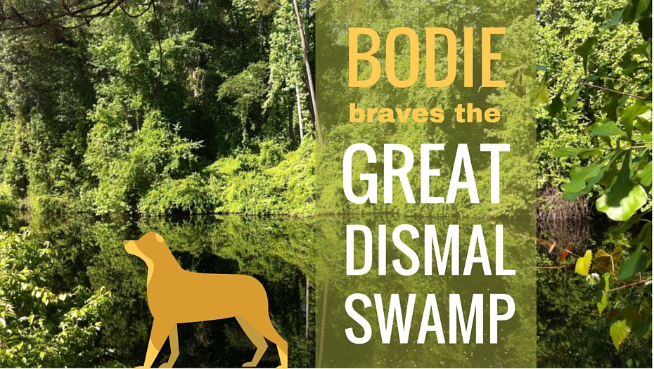 Great Dismal Swamp for dogs