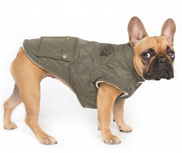 cityscape-coat-canada-pooch-matching-dog-walking-fashion