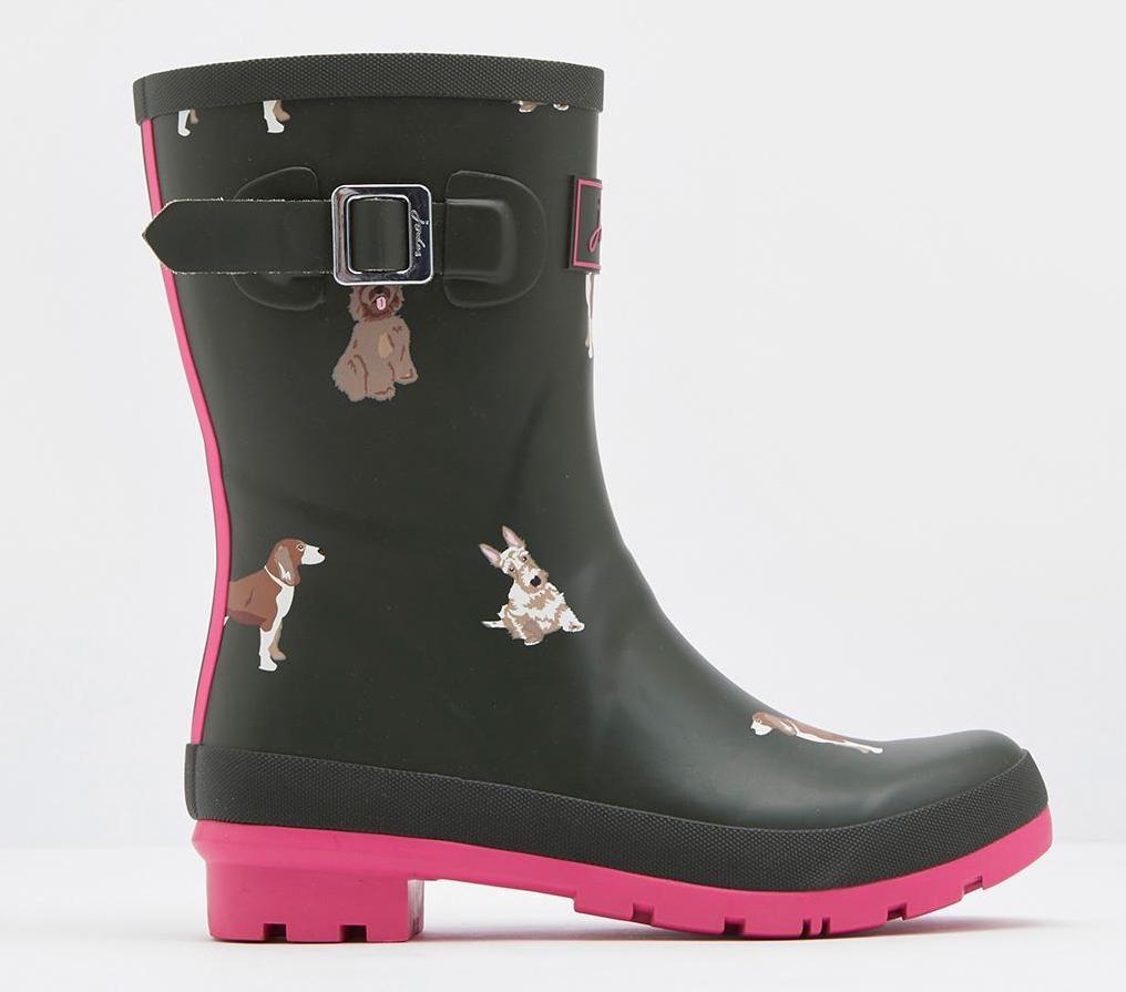 wellington boots for dogs