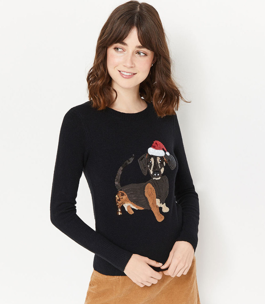 christmas sweater with dachshund dog in santa hat