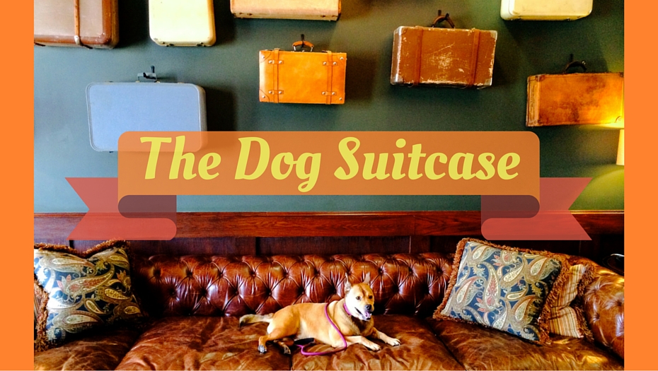 The Dog Suitcase