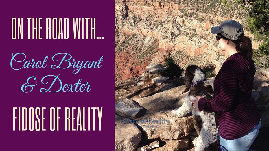 On the road with carol bryant and dexter of fidose of reality