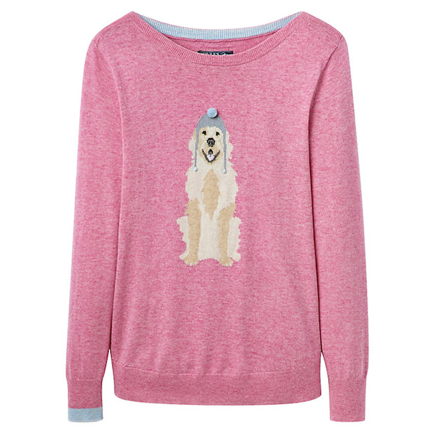 Dog Motif Sweaters - Bodie On The Road