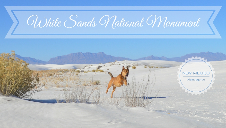 White Sands National Monument - dog-friendly