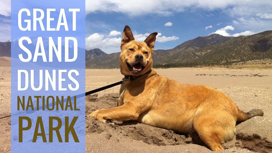 Banner for Bodie at Great Sand Dunes National Park