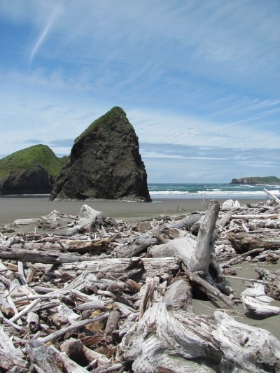 Driftwood on the beach in Oregon